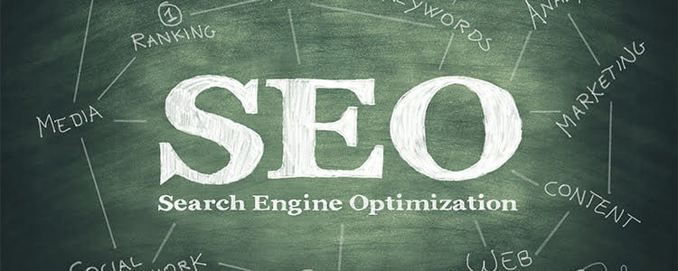 what is the importance of seo experts