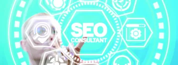 search engine optimisation consultant