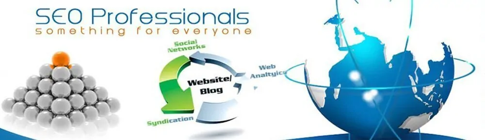 Professional SEO Services