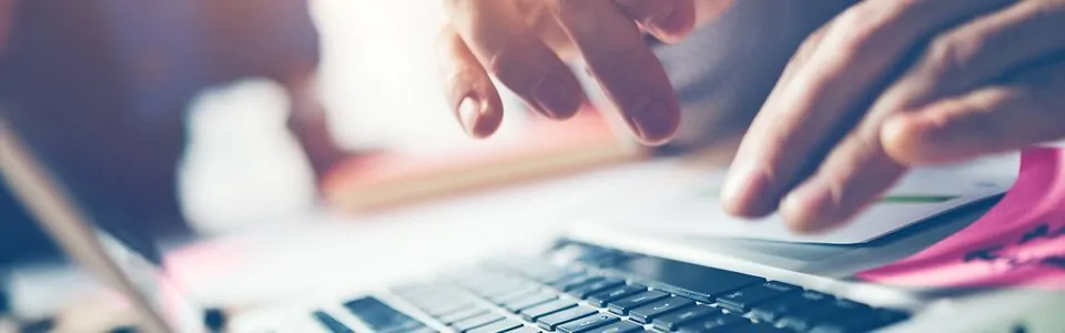 SEO Specialists