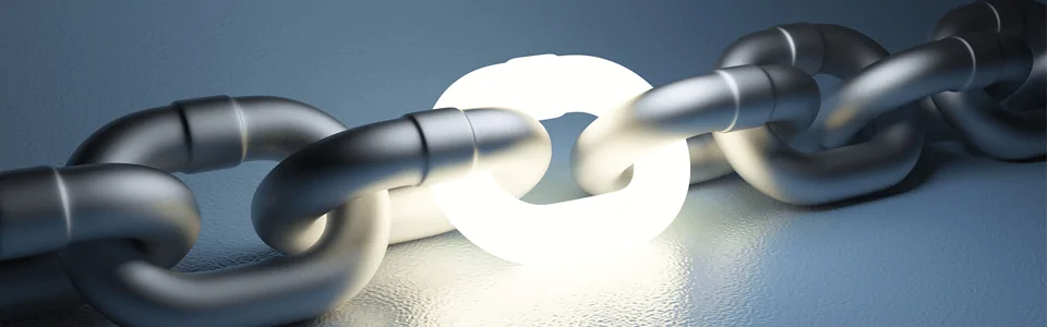 Successful Link Building
