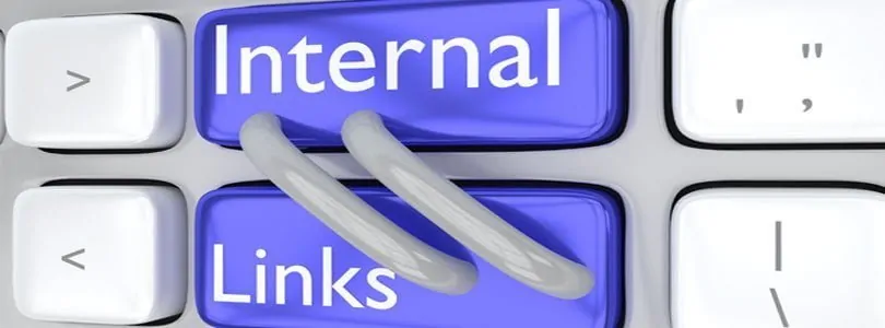 what are the benefits of working with a professional seo agency