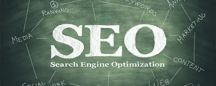 what is the importance of seo experts